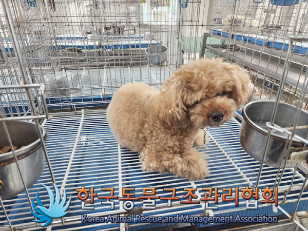 한국동물구조관리협회_411312202300389
